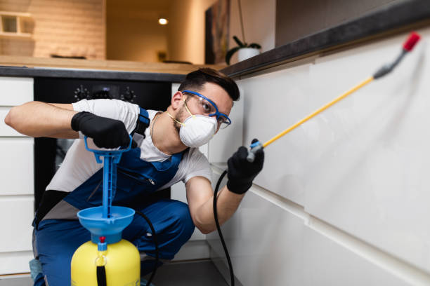 Best Cockroach Control Services  in Carnegie, OK
