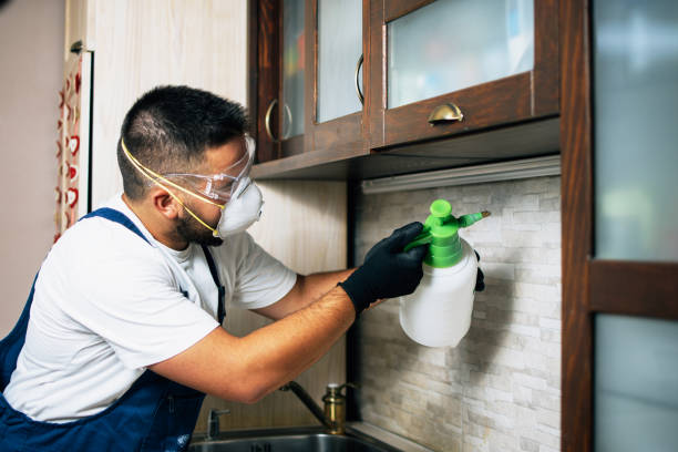 Professional Pest Control in Carnegie, OK
