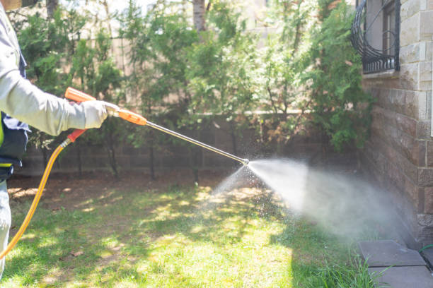Flea Control Services in Carnegie, OK