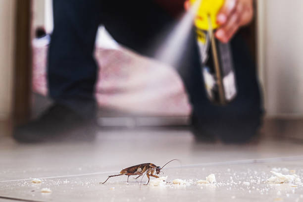 Wildlife Control Services in Carnegie, OK
